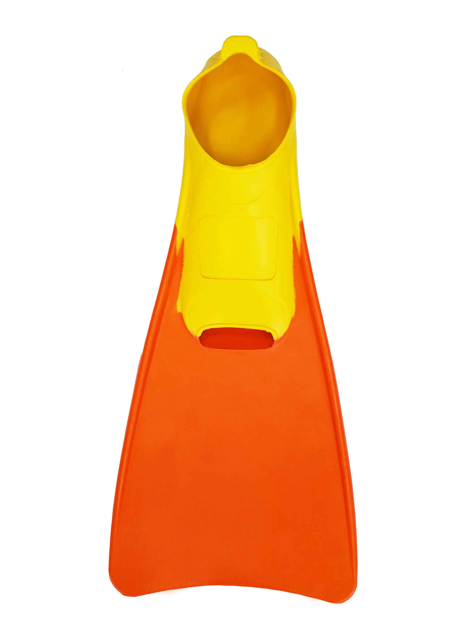 Palmes de natation bicolores