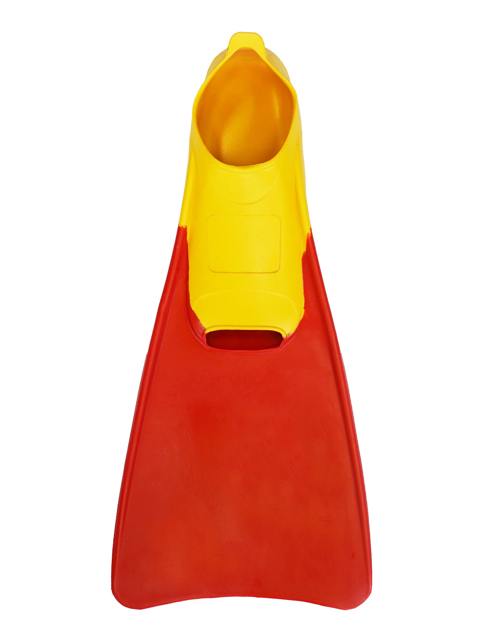 Palmes de natation bicolores