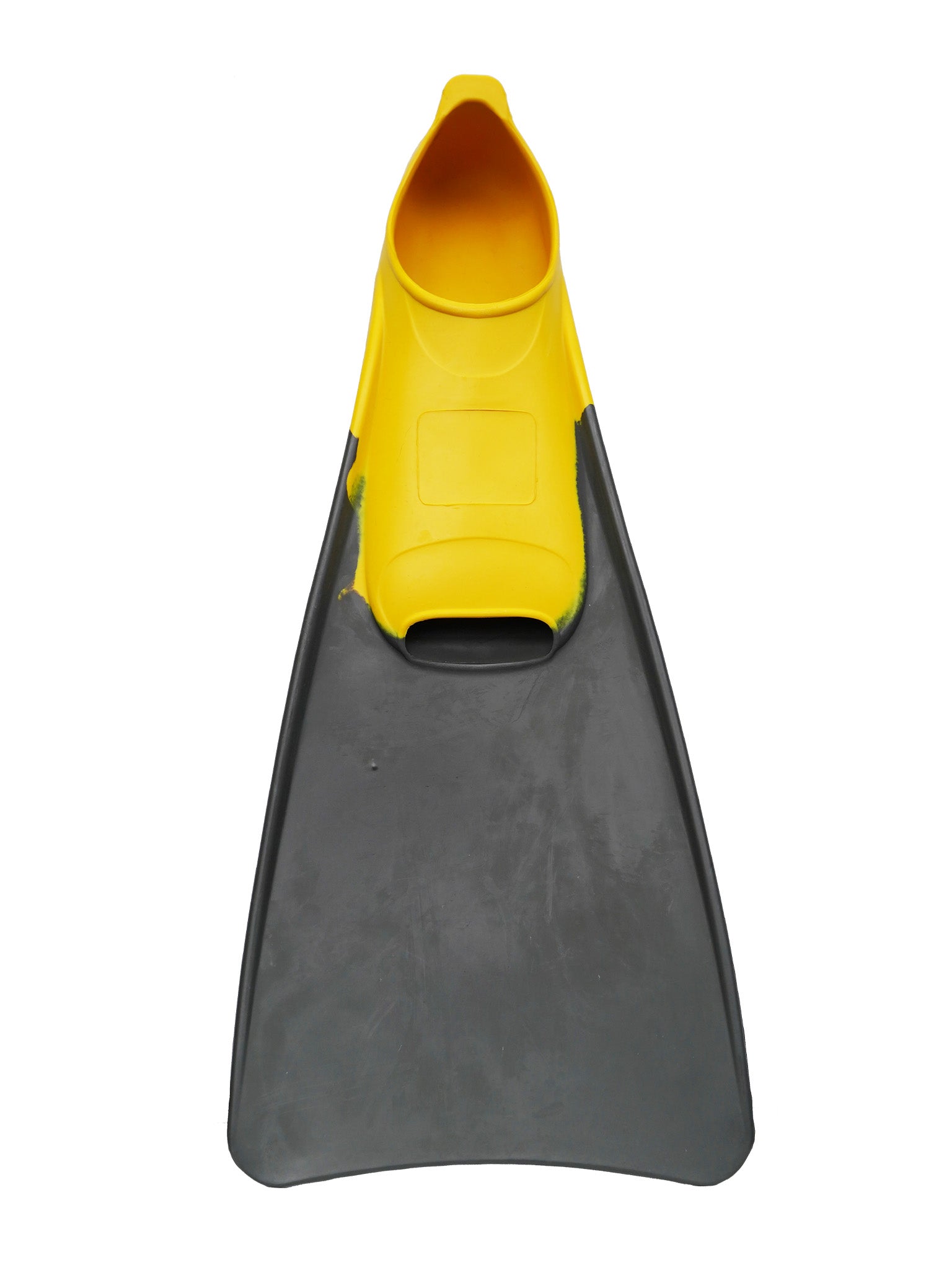 Palmes de natation bicolores