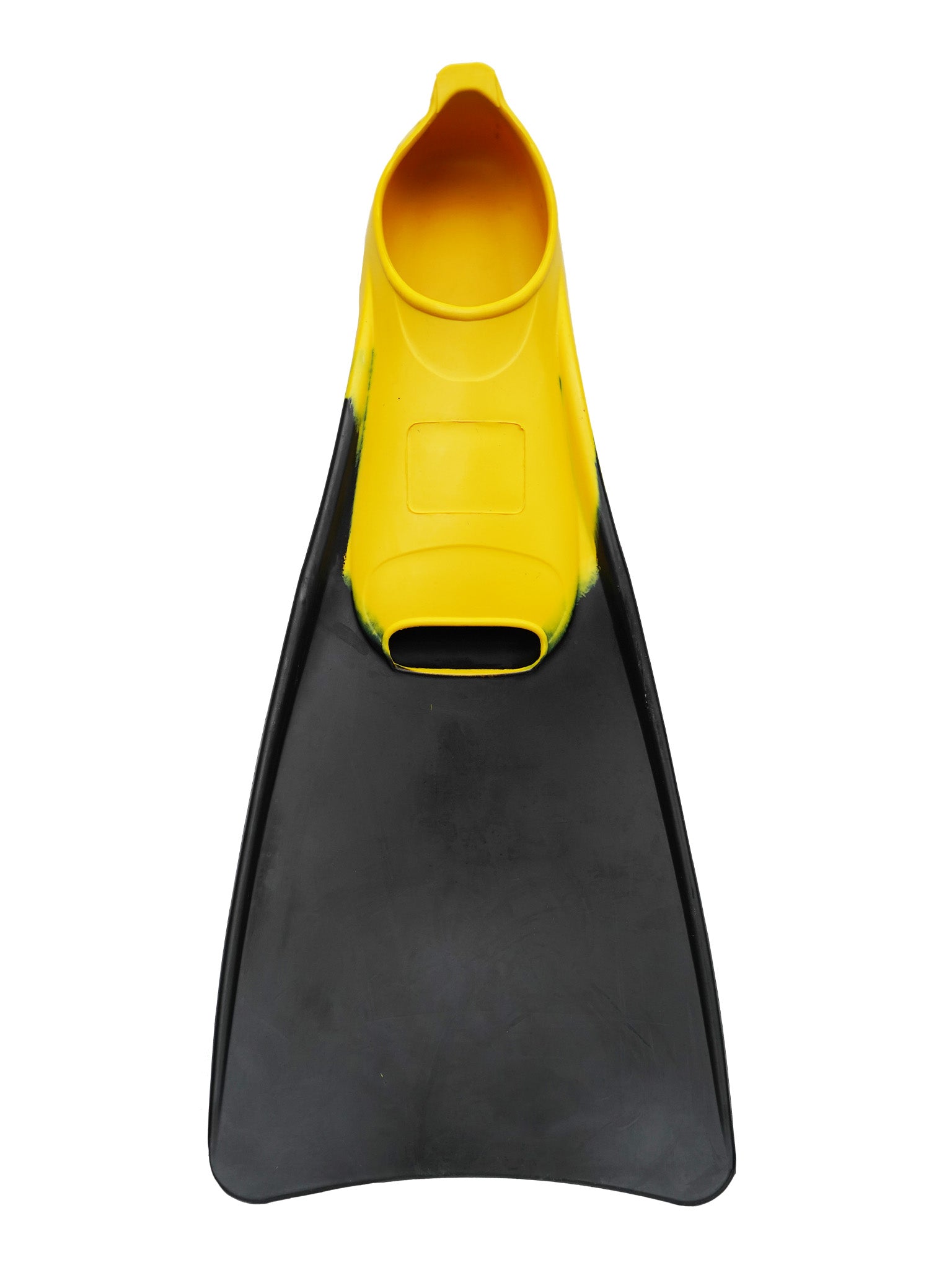 Palmes de natation bicolores