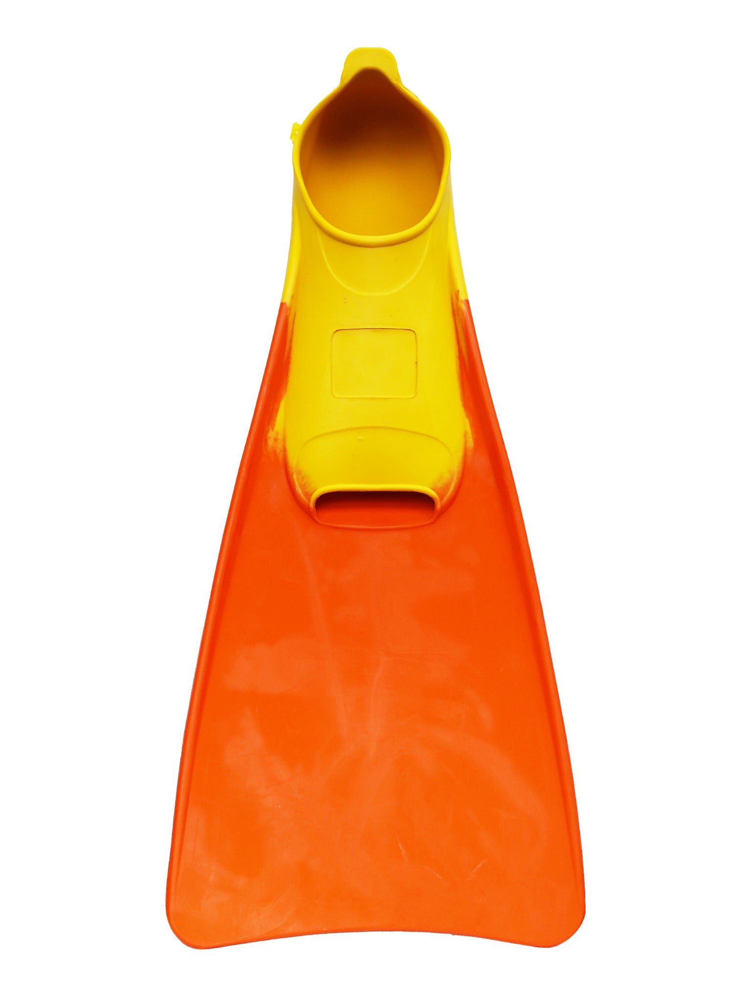 Palmes de natation bicolores