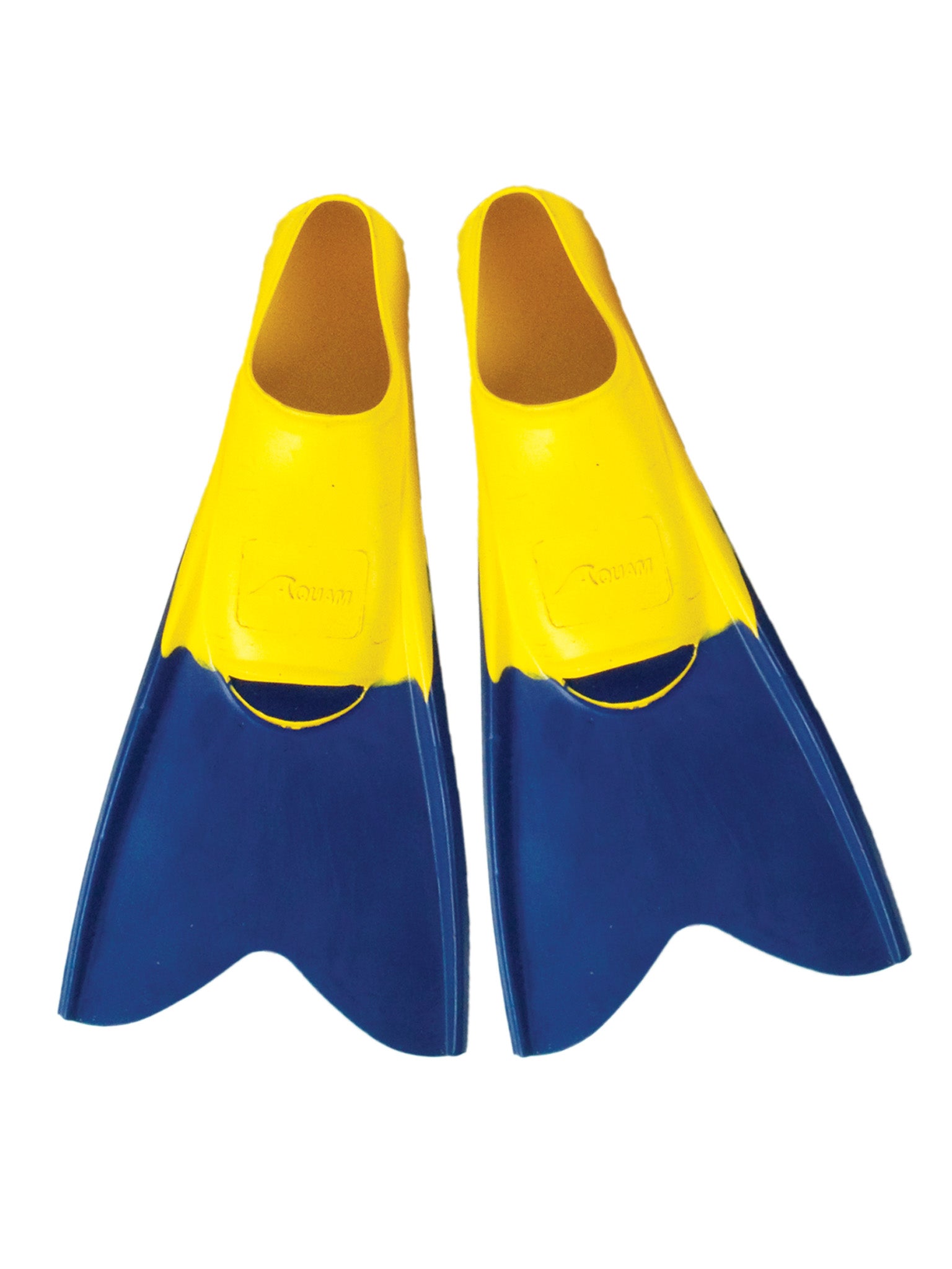 Palmes de natation Flow