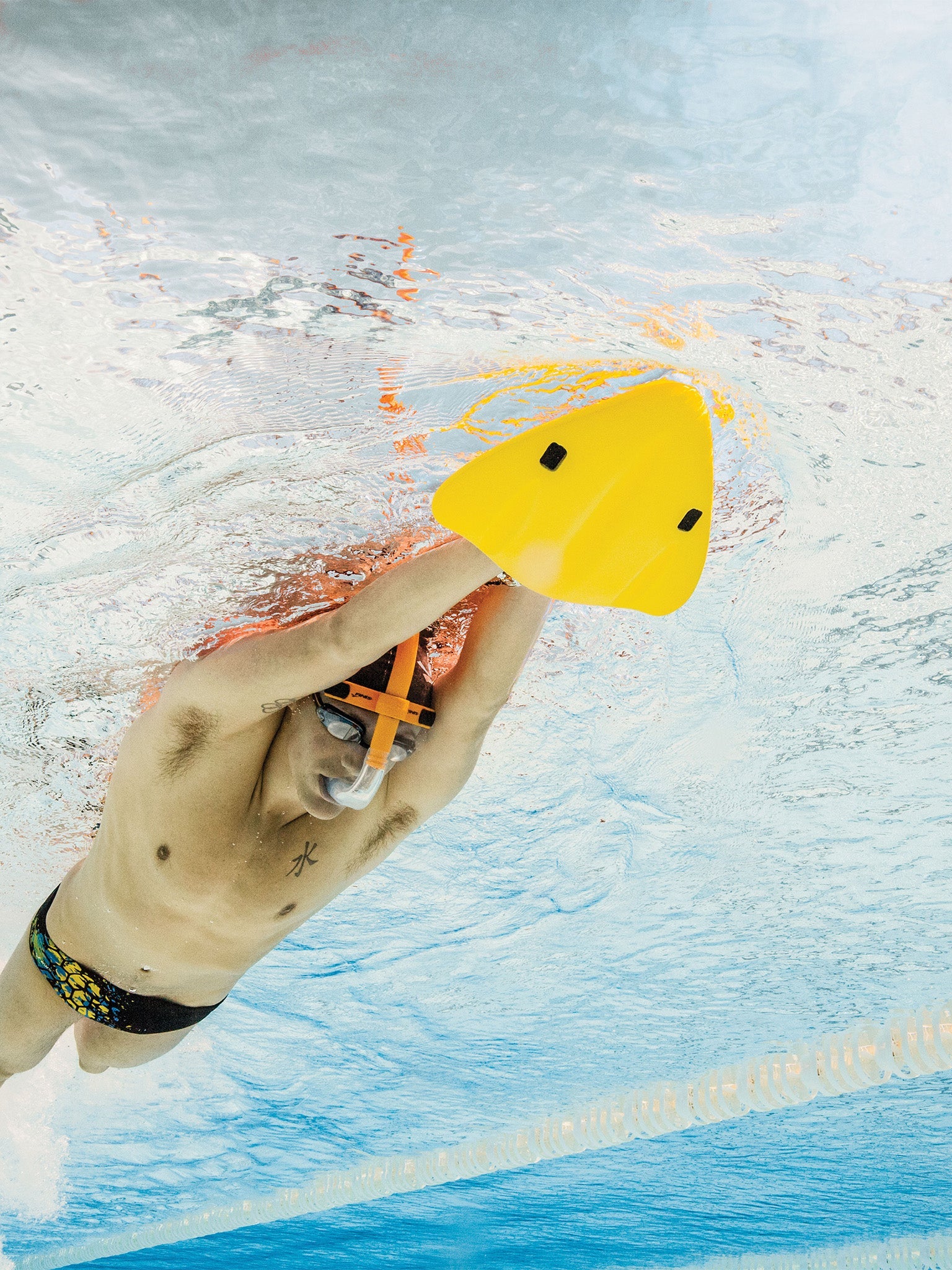 Planche de natation d'alignement Finis