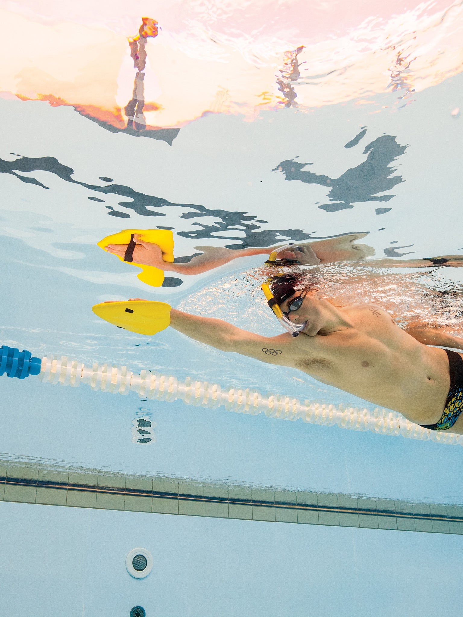 Planche de natation d'alignement Finis